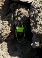DualMaxi_LimeGreen_06.jpeg